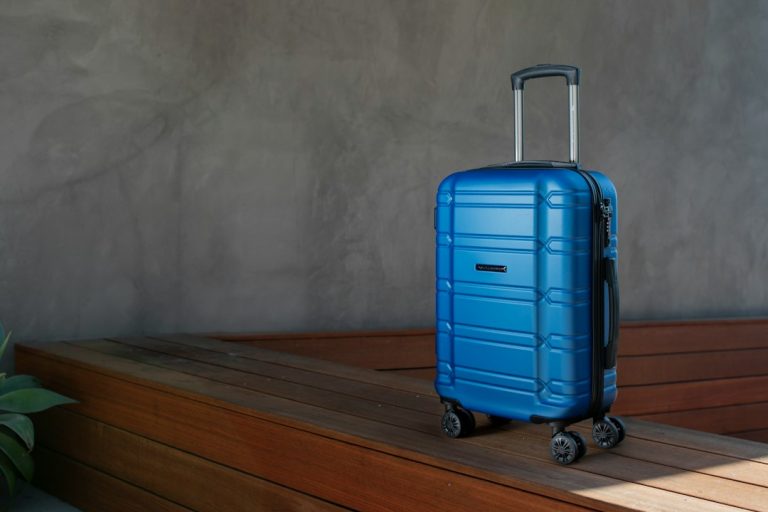 Insulated Bags: The Key to Freshness on Your Travels